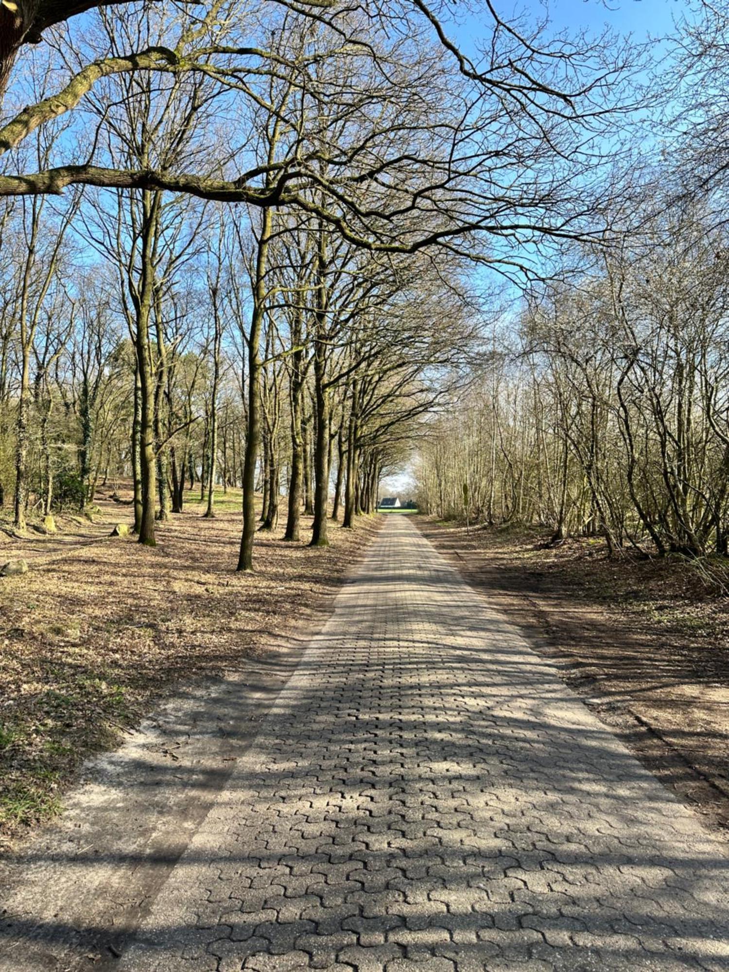 Fewo Am Tillysee In Wardenburg Exterior foto