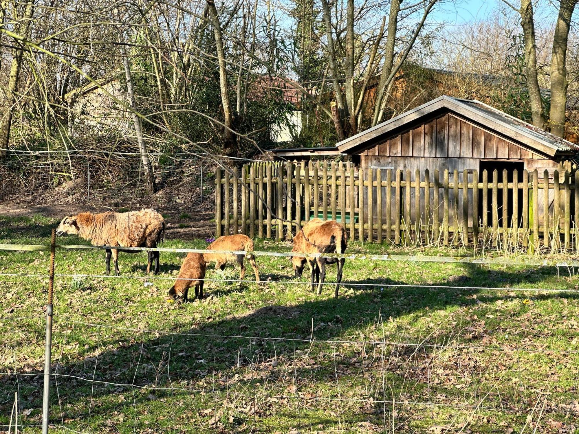 Fewo Am Tillysee In Wardenburg Exterior foto